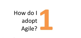 agile adoption1